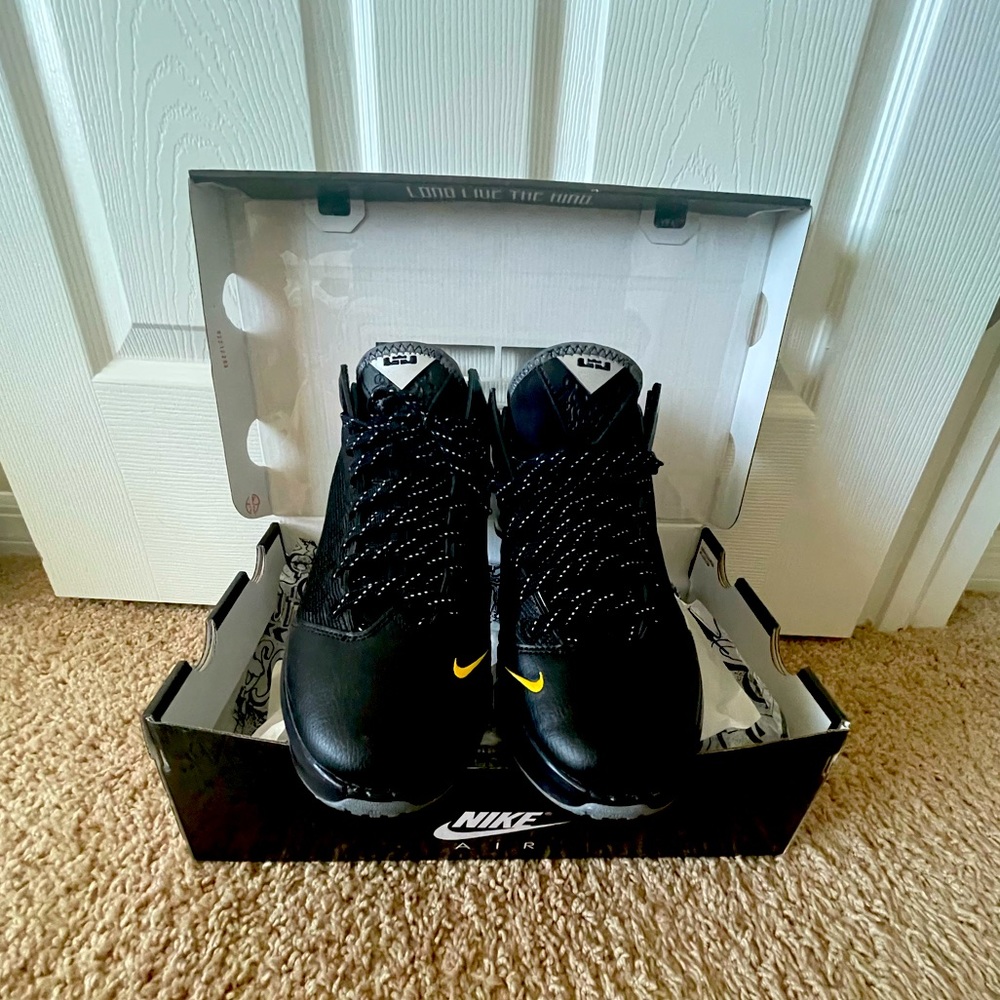 Lebron XIX Nike low top men’s 8.5 worn once